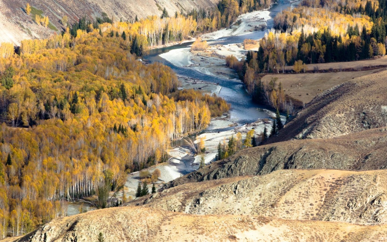 新疆阳光下的故事篇章